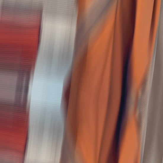 Video of semi silk saree with coffee brown bentex border